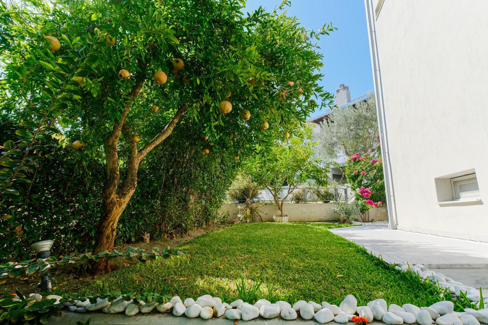 Deluxe Chrousso Pool Villa Paliouri